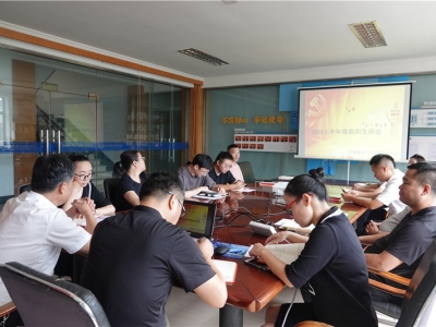 芯能科技黨支部開展2022年上半年度組織生活會